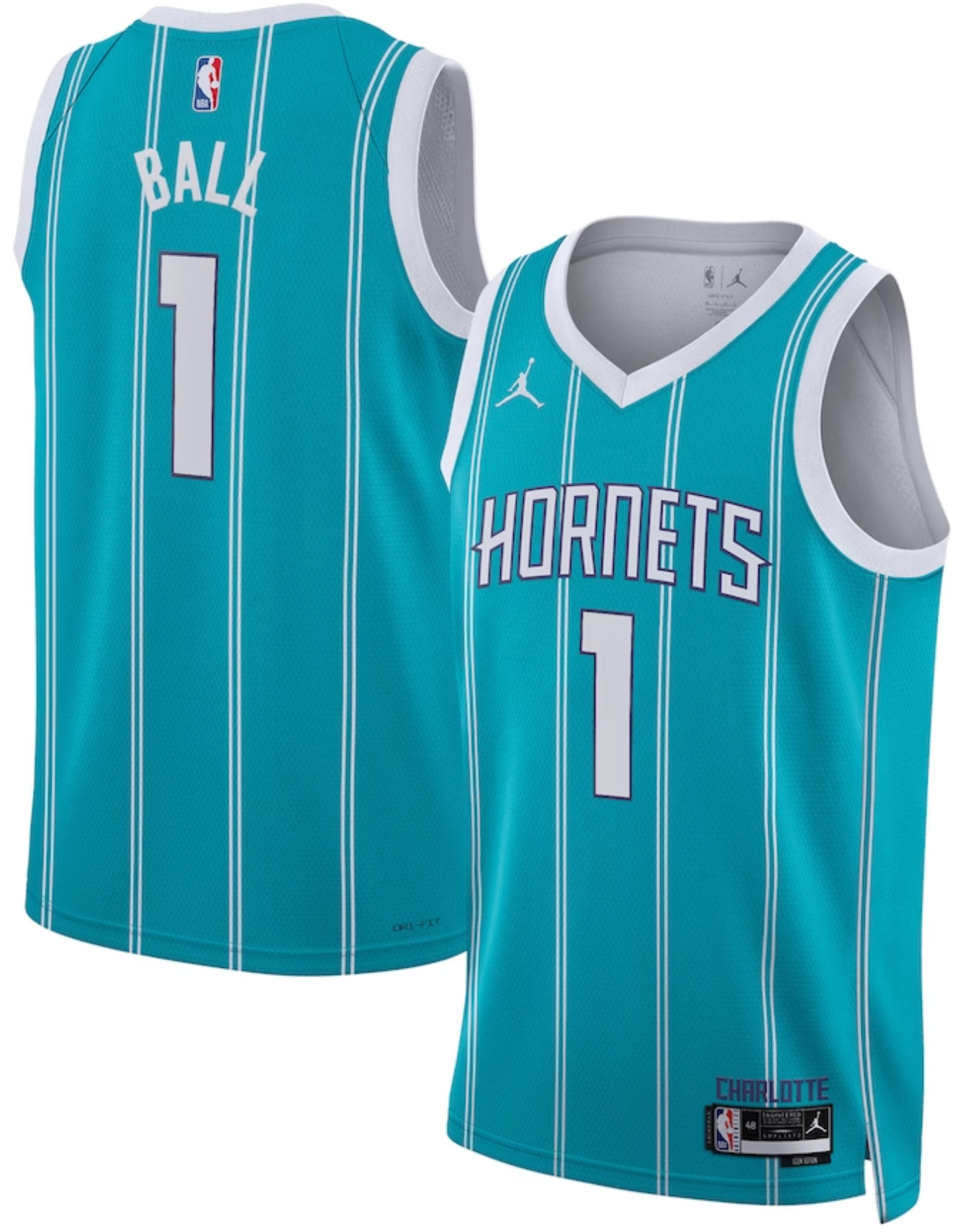 Charlotte Hornets